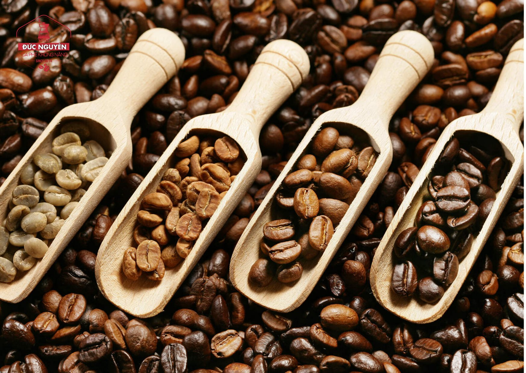 Giá cà phê hôm nay 7/12: Tăng tại các tỉnh Tây Nguyên