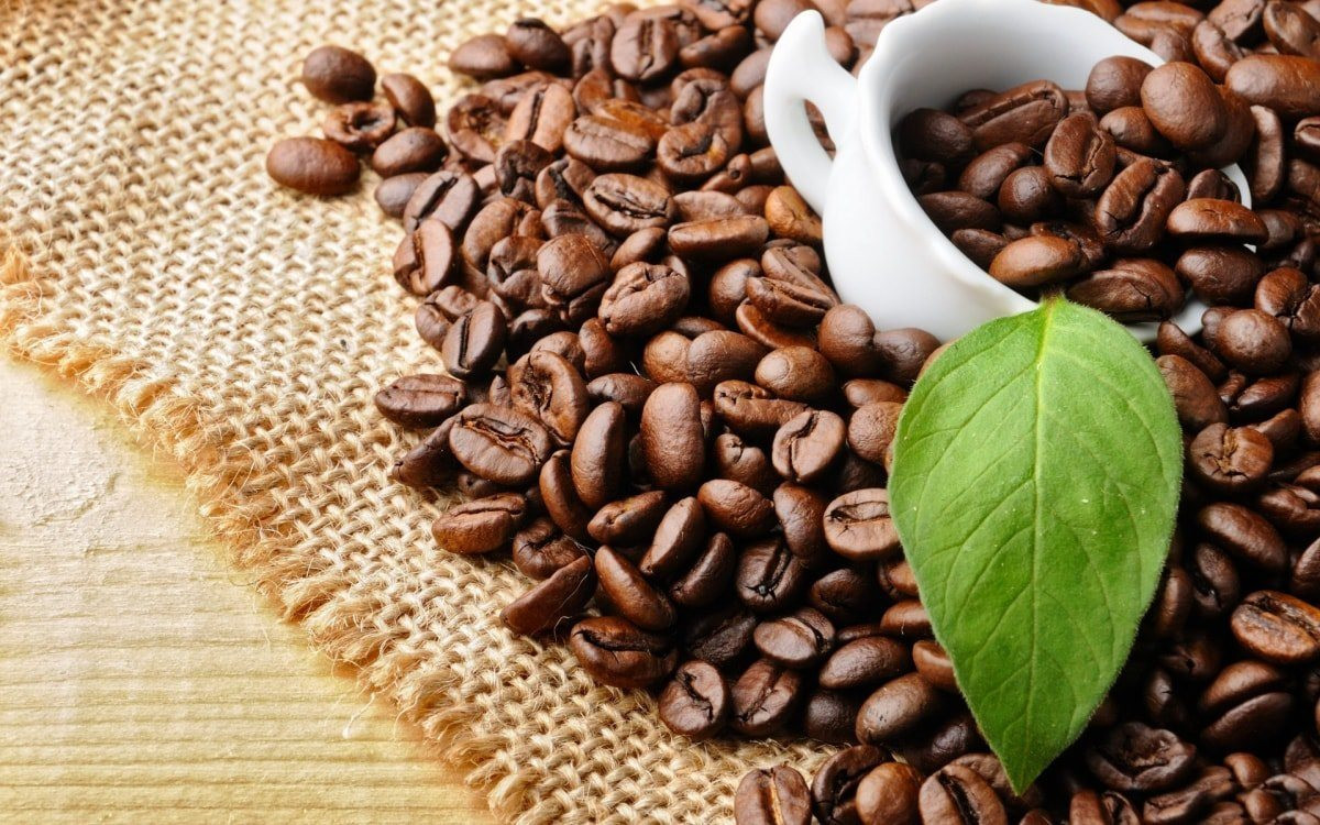 Giá cà phê hôm nay 30/9: Cao nhất 46.900 đồng/kg