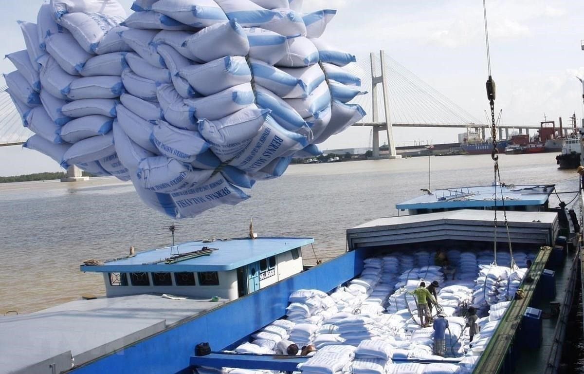 Xuất khẩu gạo Việt Nam có thể vượt 6,5 triệu tấn trong 2022